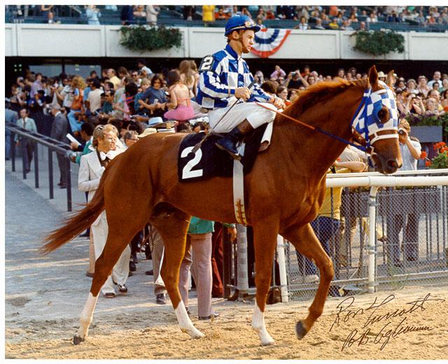Secretariat.jpg